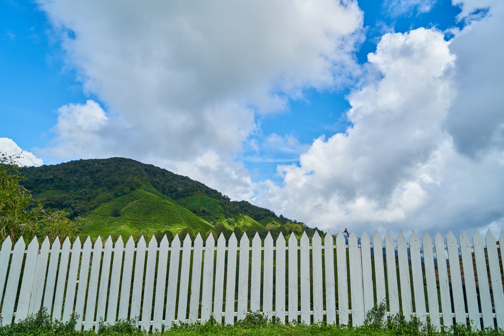 White picket fence Utah